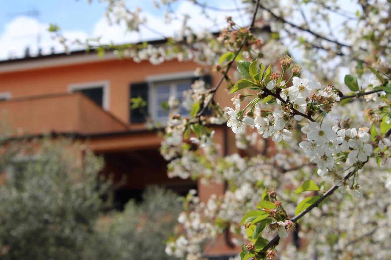 Villa Arancia Quiet, Central, Parking And Air Conditioning Levanto Exteriér fotografie