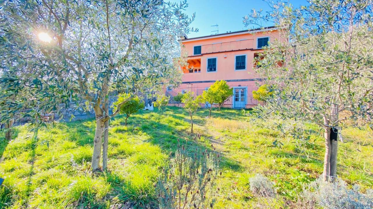 Villa Arancia Quiet, Central, Parking And Air Conditioning Levanto Exteriér fotografie